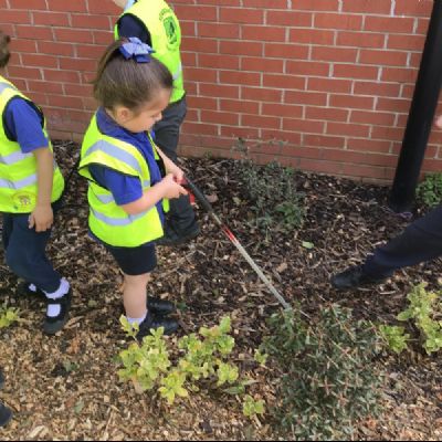 Eco - Litter Pick